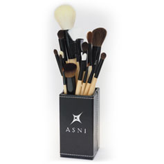 شç˹ ʹ  ӹǹ 16  (ASNI Professional Brush Set)