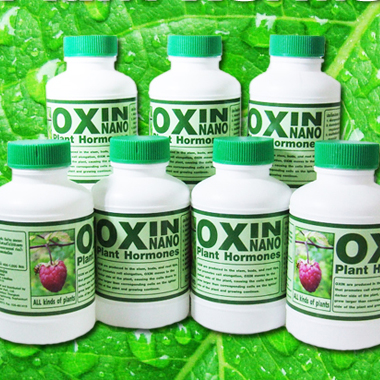 Oxin nano Plant Hormones 100cc