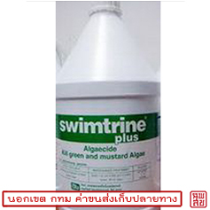  SWIMTRINE ҡӨѴ ҡ USA