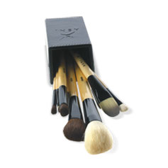 شç˹ ʹ Ǿͧè ӹǹ 11  (ASNI Professional Brush Set)